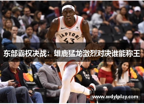 东部霸权决战：雄鹿猛龙激烈对决谁能称王