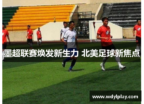 墨超联赛焕发新生力 北美足球新焦点