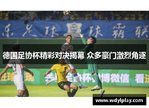 德国足协杯精彩对决揭幕 众多豪门激烈角逐