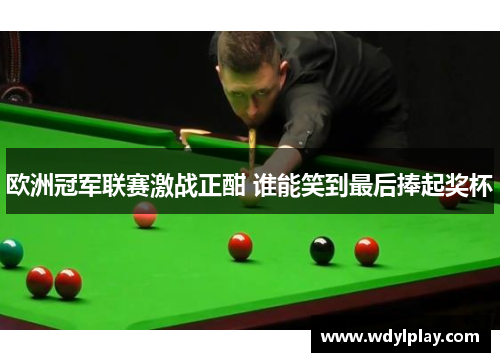 欧洲冠军联赛激战正酣 谁能笑到最后捧起奖杯