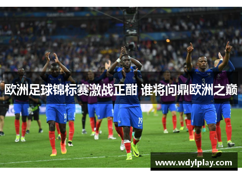 欧洲足球锦标赛激战正酣 谁将问鼎欧洲之巅