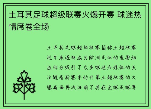土耳其足球超级联赛火爆开赛 球迷热情席卷全场