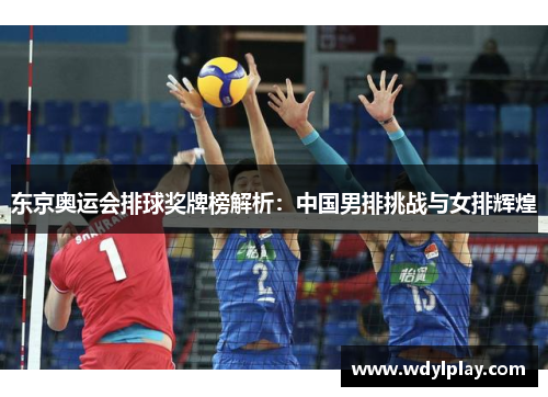 东京奥运会排球奖牌榜解析：中国男排挑战与女排辉煌